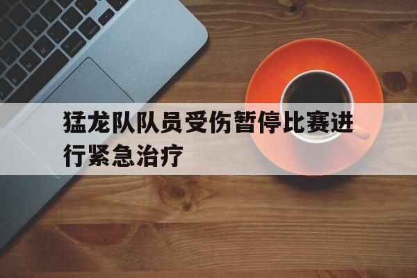 乐动官方网站-猛龙队队员受伤暂停比赛进行紧急治疗